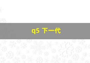 q5 下一代